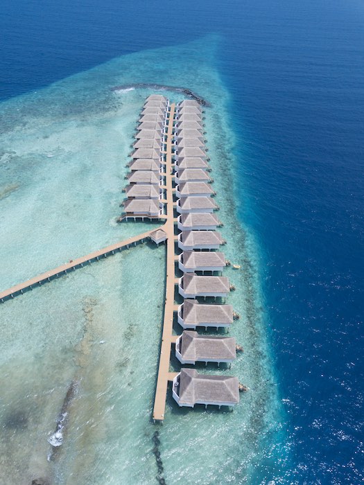 Overwater Bungalow photo 4